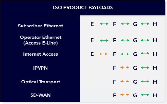 Roadmap for LSO Product Payloads