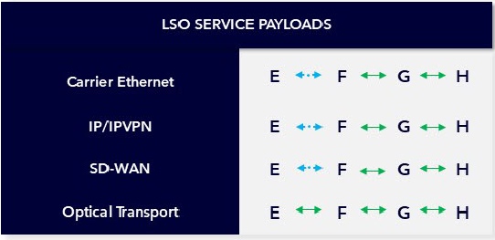 Roadmap for LSO Service Payloads